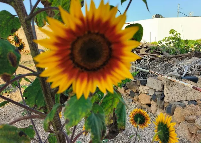 Lagar De Abuelos شقة سان ميغيل ذي أبونا